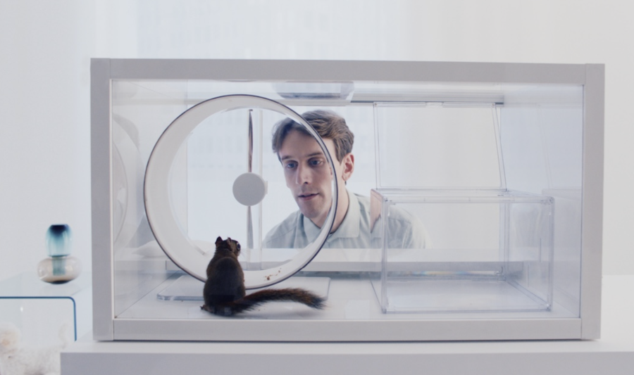 Film-Produktion The Squirrel